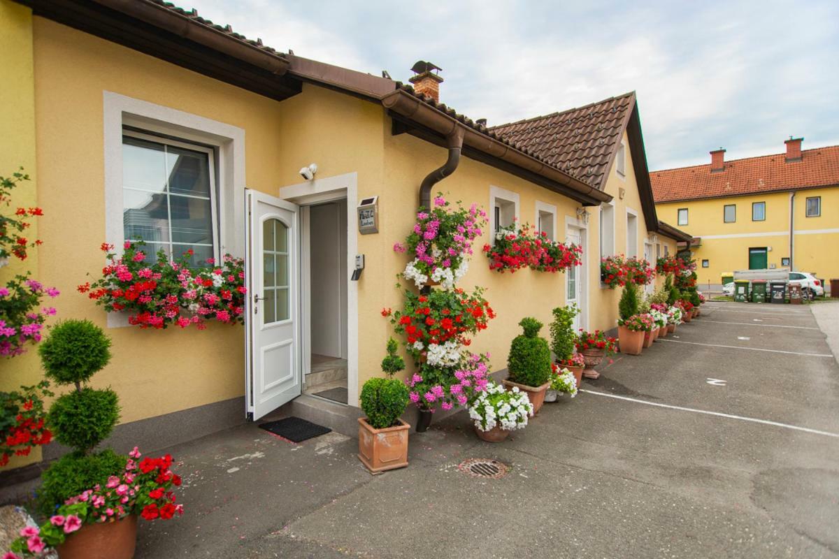 Auszeit Leoben 1 Mit Terasse Und Gratis Parkplatz Leilighet Eksteriør bilde